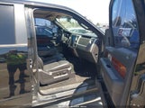 Ford F-150 King Ranch/Lariat/Platinum/Xl/Xlt 1FTPW12V19FA50749 fotografie
