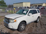 Ford Escape Limited 1FMCU0E78AKB10416 снимка