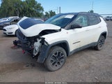 Jeep Compass Trailhawk 4X4 3C4NJDDB3KT671092 снимка