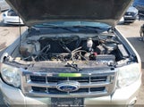 Ford Escape Xlt 1FMCU0D77BKB65510 fotografie