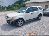 Ford Escape Xlt 1FMCU9D73CKC69921 fotografie