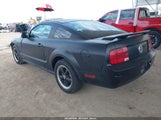 Ford Mustang V6 Deluxe/V6 Premium 1ZVFT80N555129502 fotografie
