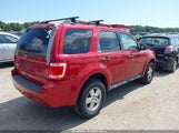 Ford Escape Xlt 1FMCU0D70AKD43790 снимка