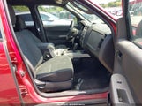 Ford Escape Xlt 1FMCU0D70AKD43790 fotografie