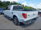 Ford F-150 Fx2 Sport/Harley-Davidson/King Ranch/Lariat/Platinum/Xl/Xlt 1FTFW1CV5AFB22888 photo
