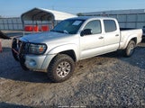Toyota Tacoma Prerunner V6 3TMKU72N86M005077 photo