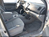 Toyota Tacoma Prerunner V6 3TMKU72N86M005077 photo