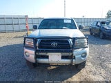 Toyota Tacoma Prerunner V6 3TMKU72N86M005077 photo
