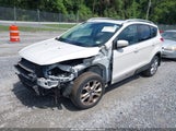 Ford Escape Titanium 1FMCU9J93GUB90393 fotografie