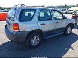 Ford Escape Xls/Xls Manual 1FMYU02Z86KC62960 fotografie