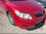 Toyota Corolla Le 2T1BU4EE8AC441875 снимка