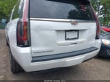 Cadillac Escalade Esv 4Wd Platinum 1GYS4KKJ6LR163888 fotografie