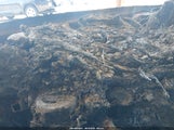 Honda Civic Sport 2HGFE2F52SH594536 снимка
