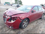 Miniaturka zdjęcia 2