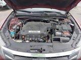 Honda Accord Crosstour Ex-L 5J6TF1H59AL013051 photo