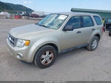 Ford Escape Xls 1FMCU0C75BKC15998 fotografie