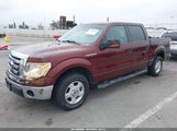 Ford F-150 Fx2 Sport/Harley-Davidson/King Ranch/Lariat/Platinum/Xl/Xlt 1FTFW1CV2AFD18934 photo