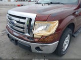 Ford F-150 Fx2 Sport/Harley-Davidson/King Ranch/Lariat/Platinum/Xl/Xlt 1FTFW1CV2AFD18934 photo