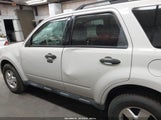 Ford Escape Xlt 1FMCU9D72BKA81924 снимка