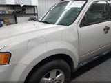 Ford Escape Xlt 1FMCU9D72BKA81924 fotografie
