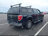 Ford F-150 Fx4/Harley-Davidson/King Ranch/Lariat/Platinum/Xl/Xlt 1FTFW1EVXAFA18121 photo