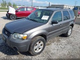 Ford Escape Xlt/Xlt Sport 1FMYU93176KC72392 fotografie