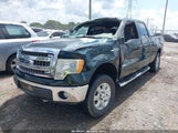 Ford F-150 Xlt 1FTFW1ET2DKG05231 снимка