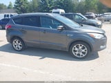Ford Escape Titanium 1FMCU9J91GUB49731 fotografie