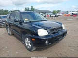 Hyundai Santa Fe Gls KM8SC13D86U110568 снимка