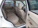 Ford Escape Xlt 1FMCU9DG1CKB84608 fotografie