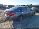 Nissan Altima 2.5 Sl 1N4AL3AP5HC224020 снимка