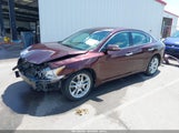 Nissan Maxima 3.5 Sv 1N4AA5AP0EC441584 снимка
