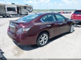 Nissan Maxima 3.5 Sv 1N4AA5AP0EC441584 снимка