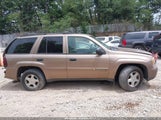 Chevrolet Trailblazer Ls 1GNDT13S922462664 снимка