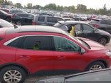 Ford Escape Se 1FMCU9G6XNUA79351 снимка