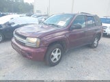 Chevrolet Trailblazer Ls 1GNDS13S762242626 снимка
