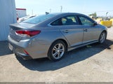 Hyundai Sonata Sport 5NPE34AF6JH637678 photo