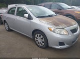 Toyota Corolla Le 1NXBU4EE8AZ381871 снимка