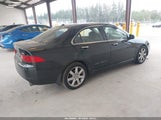 Acura Tsx JH4CL95885C013736 снимка