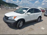Honda Cr-V Ex-L 5J6RE4H77BL049953 снимка