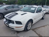 Ford Mustang Gt Deluxe/Gt Premium 1ZVHT82H985146596 fotografie