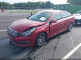 Hyundai Sonata Se 5NPE24AF4GH339352 снимка