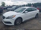 Hyundai Sonata Sport 5NPE34AF1FH033057 fotografie