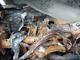 Toyota Prius Two JTDKBRFU8J3604607 снимка