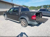 Ford Explorer Sport Trac Xlt 1FMEU51KX7UA01713 fotografie