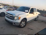 Ford F-150 Xlt 1FTEW1CM8DKE19104 снимка