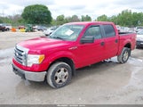 Ford F-150 Fx4/King Ranch/Lariat/Platinum/Xl/Xlt 1FTPW14V49KC72660 photo