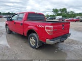 Ford F-150 Fx4/King Ranch/Lariat/Platinum/Xl/Xlt 1FTPW14V49KC72660 photo