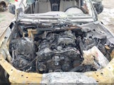 Jeep Grand Cherokee Laredo 1J4RR4GGXBC712972 снимка