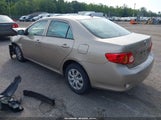 Toyota Corolla Le 1NXBU40E89Z123157 снимка